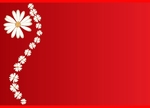 My-Beauty-Postcards-01