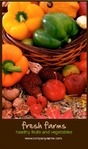 hypernutrition 4/0 - Print 1 side