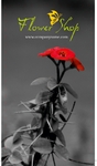 elegantly-grown 4/0 - Print 1 side