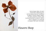 flowers-shop-postcard-5
