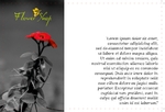 flowers-shop-postcard-6