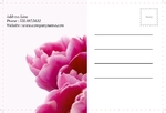 flowers-shop-postcard-6