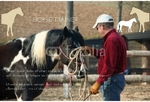 Animal&pets-company-postcard-3