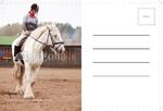 Animal&pets-company-postcard-3