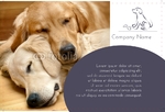 Animal&pets-company-postcard-4