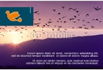 Animal&pets-company-postcard-5