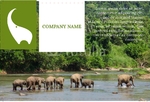 Animal&pets-company-postcard-6