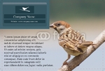 Animal&pets-company-postcard-8