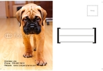 Animal&pets-company-postcard-16