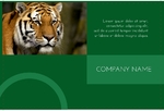 Animal&pets-company-postcard-18