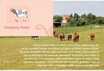 Animal&pets-company-postcard-21
