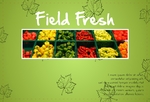 agriculture-postcard-7