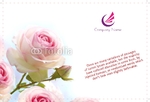 postcard-136