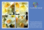 postcard-626