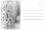 postcard-626
