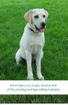 My Sweet Dog