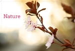 Nature Feelings
