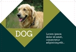 Dog Care House