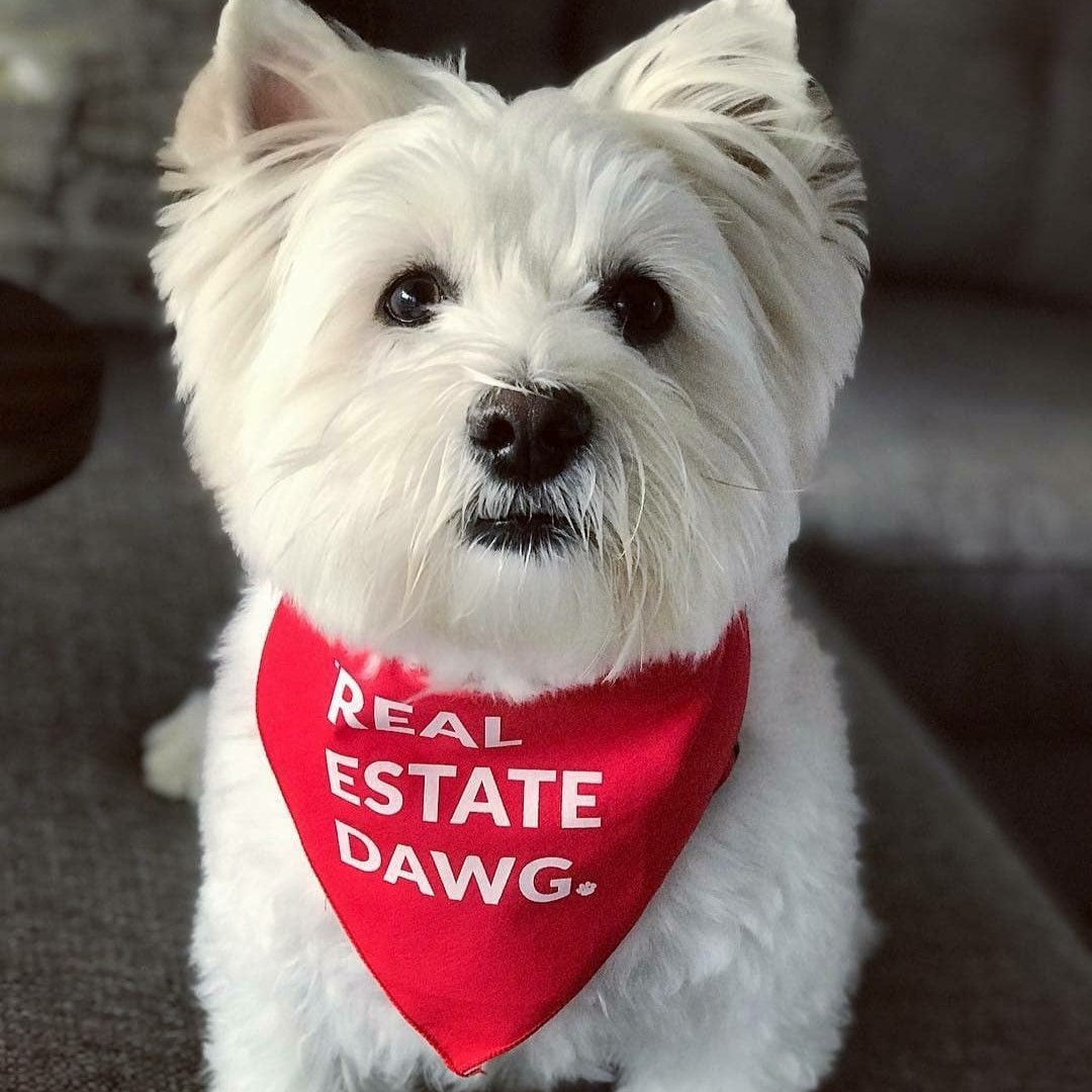 Dog Bandana - Real Estate Dawg