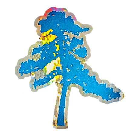 Holographic Stickers