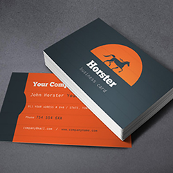Matte Dull Business Cards