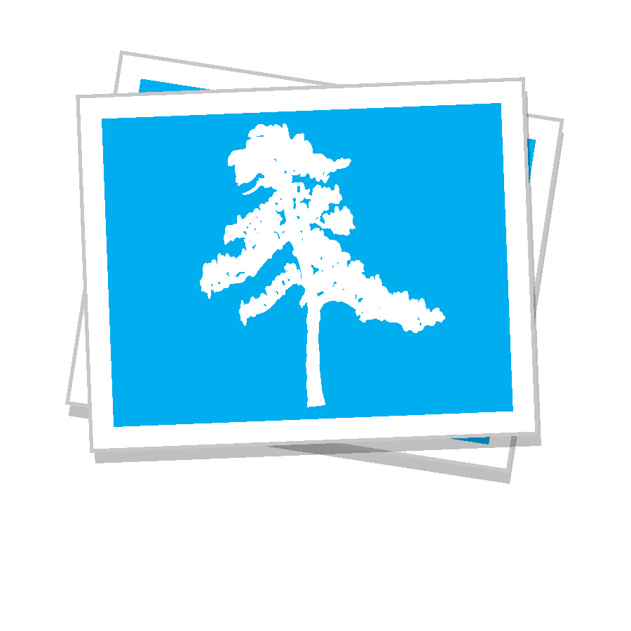 Rectangle Stickers