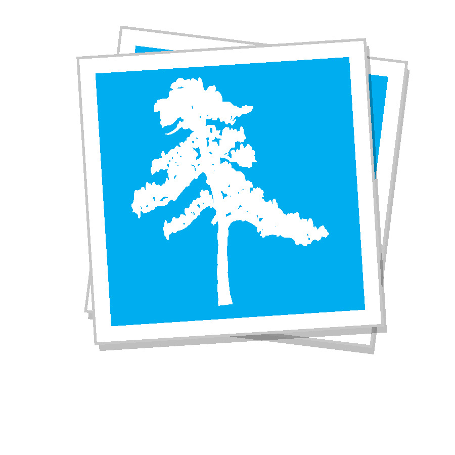 Square Stickers