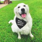 Dog Bandana - Real Estate Dawg 2