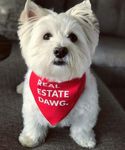Dog Bandana - Real Estate Dawg 6