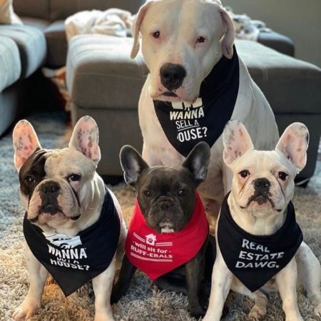 Dog Bandana - Wanna Buy A House? 1