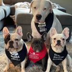 Dog Bandana - Wanna Buy A House? 1