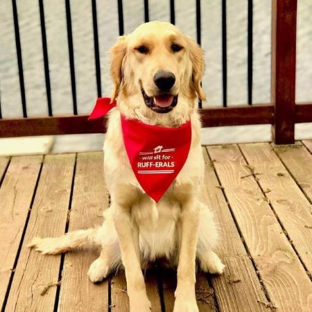 Dog Bandana - WIll Sit for Ruff-erals 2