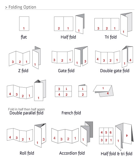 Brochures & Flyers - Standard 1
