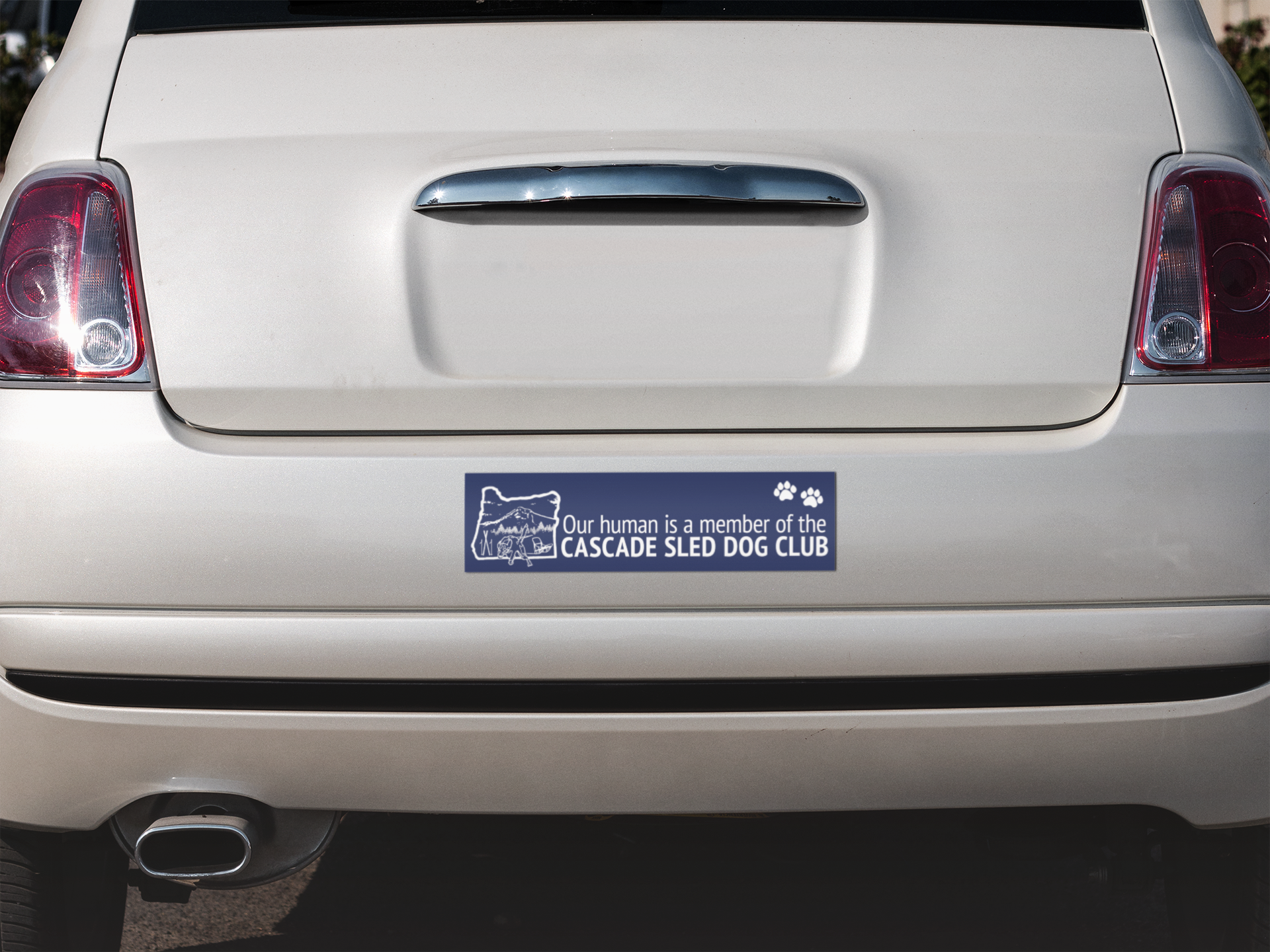 Bumper Stickers 3