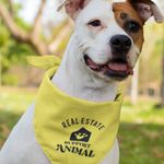 Pet Bandana - Real Estate Support Animal 3