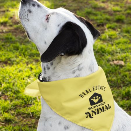 Pet Bandana - Real Estate Support Animal 4