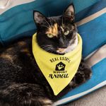 Pet Bandana - Real Estate Support Animal 1
