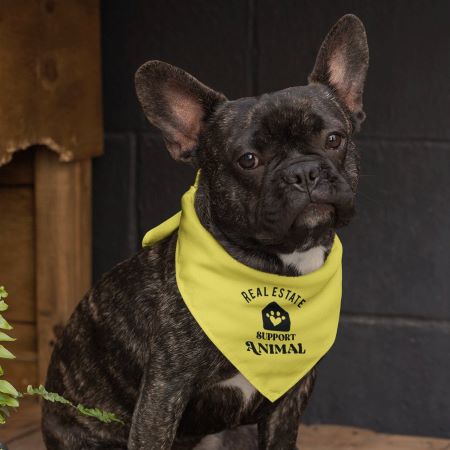 Pet Bandana - Real Estate Support Animal 2